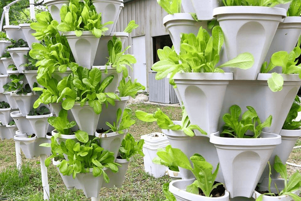 https://www.naturehydro.com/uploads/stackable-planters.png